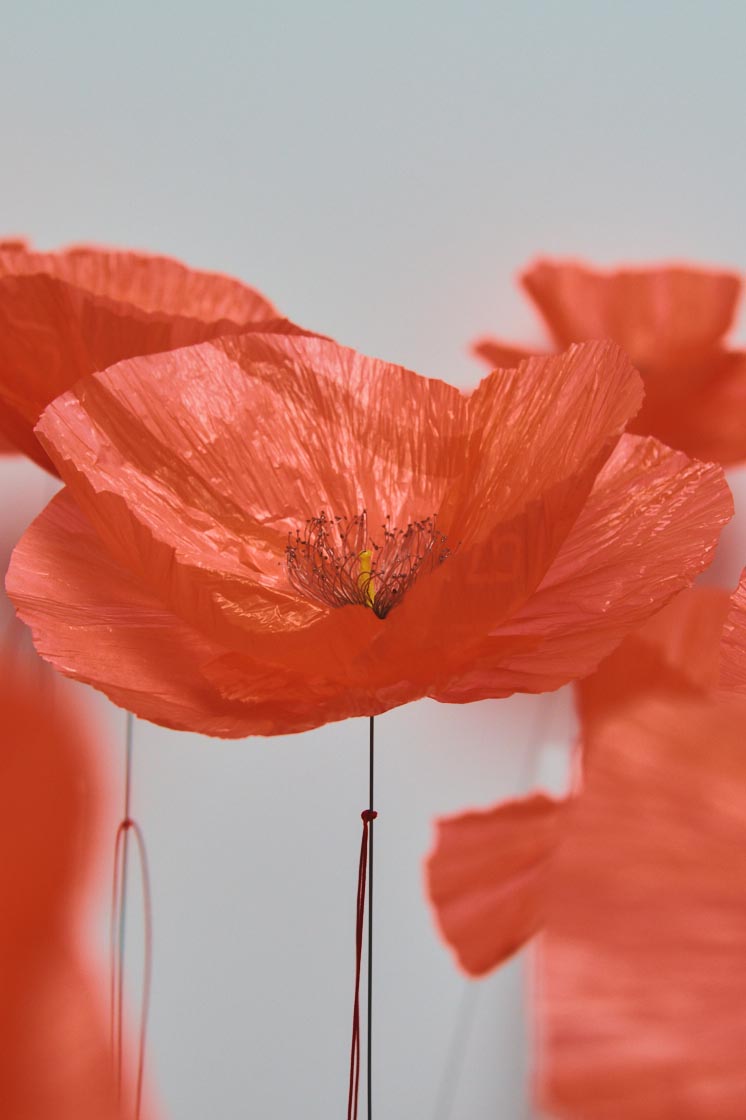 Kenzo Parfums William Amor